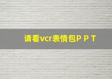 请看vcr表情包P P T